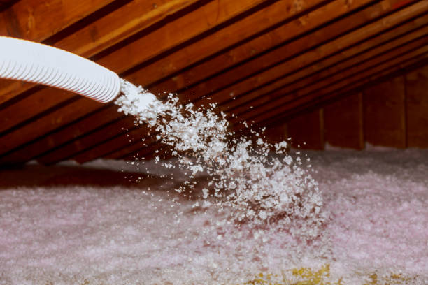 Best Energy Efficiency Insulation in Golden Glades, FL