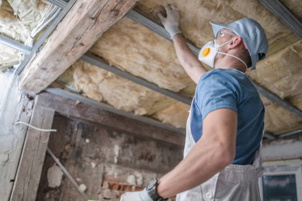 Best Blown-in Insulation in Golden Glades, FL