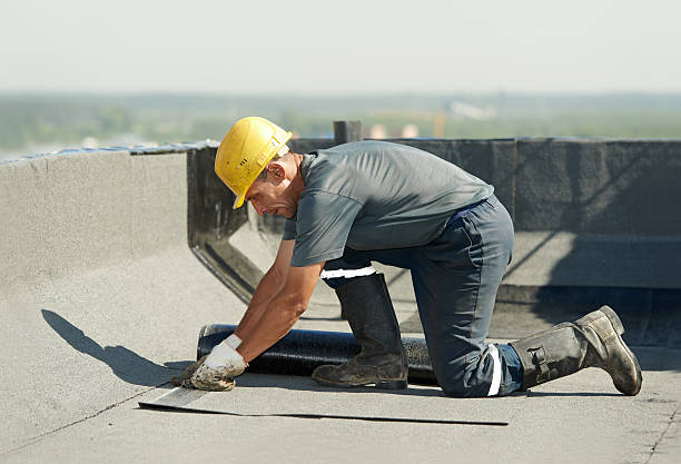 Best DIY Insulation Kits and Guidance in Golden Glades, FL