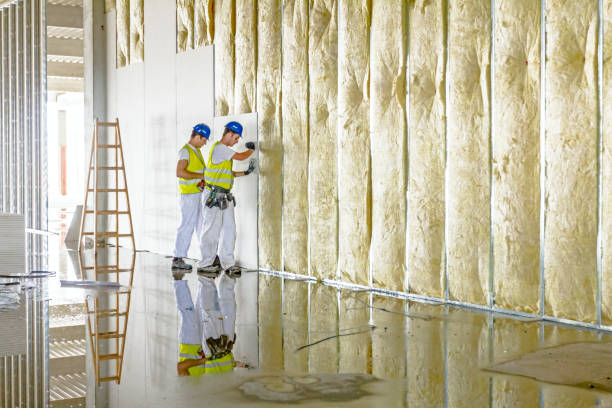 Best Geographic-Specific Insulation Services in Golden Glades, FL